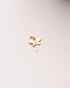 DSC_7429.jpeg
