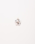 DSC_7470.jpeg